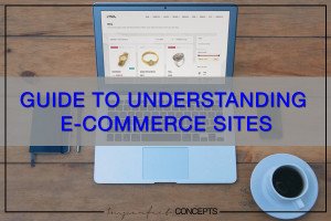 Guide To Understanding eCommerce Sites