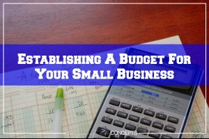 Establishing A Budget For Your Small Business