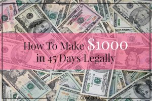 How To Make $1000 in 45 Days Legally