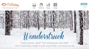 Design CTA in Picmonkey