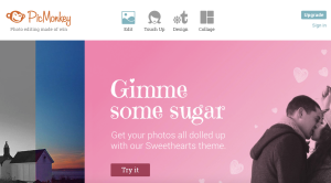 Design CTA in Picmonkey