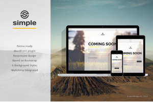 Solution for wordpress landing page