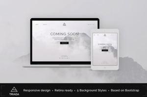 Solution for wordpress landing page