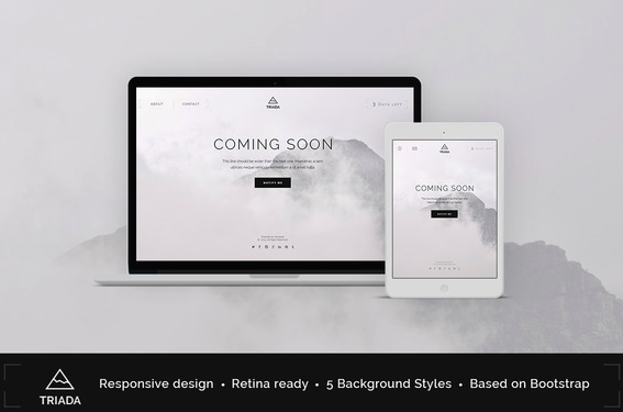 Solution for wordpress landing page
