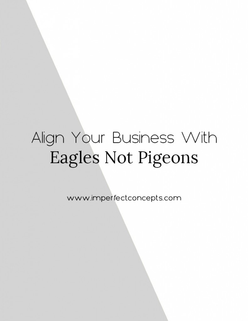 Birds of a feather do flock together, especially when you are trying to go higher. | Imperfect Concepts #mindset #success #blogging #smallbusiness