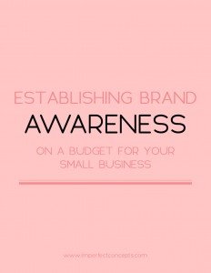 3 Tips On How to Establish a great brand on a small budget.