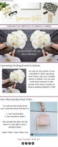 email marketing template example from Imperfect Concepts