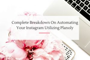 After testing and testing, finally found an Instagram automation tool that works for my small business. | Imperfect Concepts